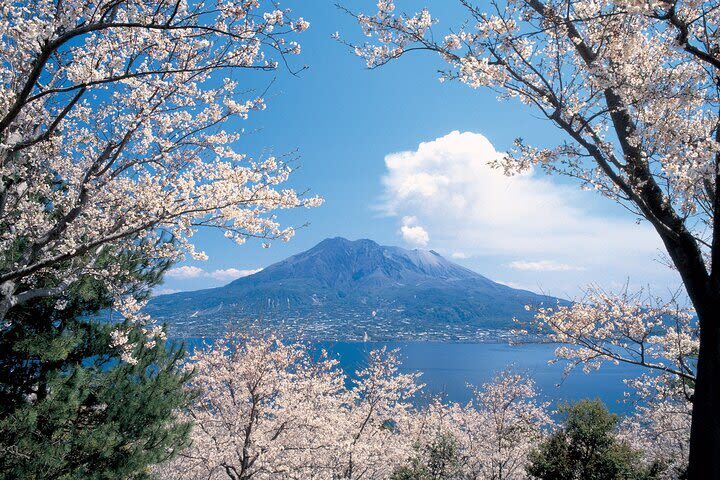 Kagoshima Sakurajima Half-Day Volcano Tour - A guide can turn the views into a story
