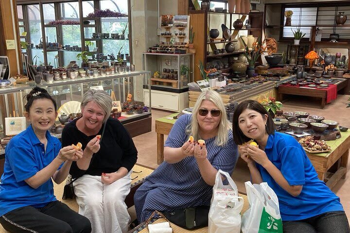 Kagoshima Sakurajima Half-Day Volcano Tour - Weather can change the value of the day