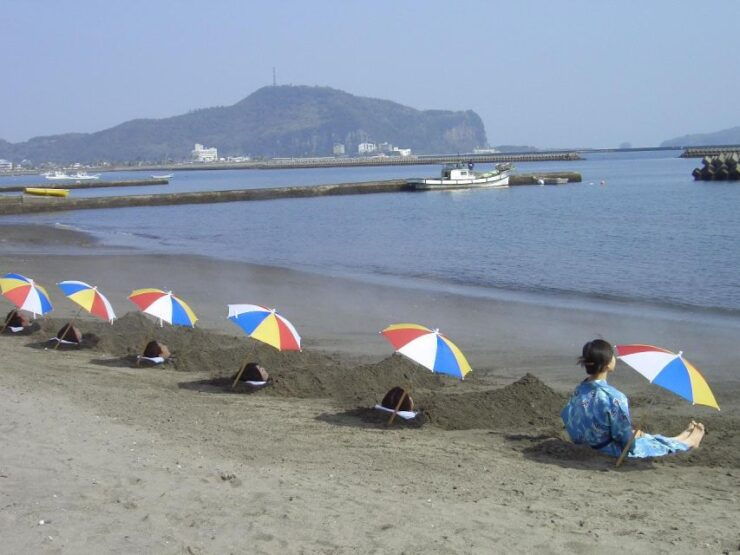 Kagoshima: Samurai History and Hot Sand Baths Private Tour - Tour Experience and Itinerary