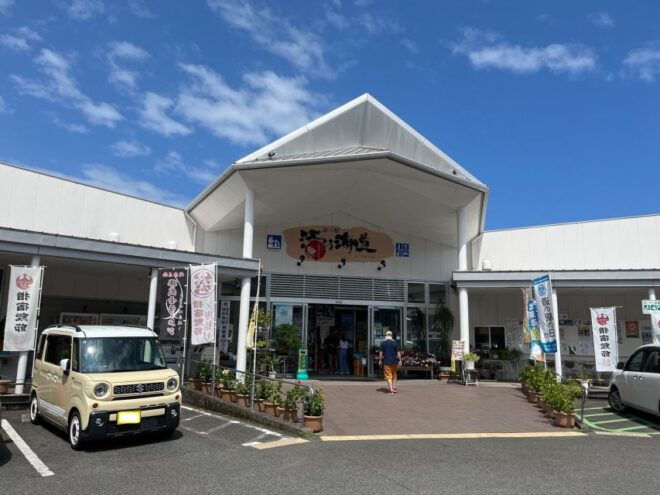 Kagoshima: Samurai History and Hot Sand Baths Private Tour - Experience Ibusuki Hot Sand Baths