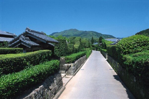 Kagoshima: Samurai History and Hot Sand Baths Private Tour - Common Questions