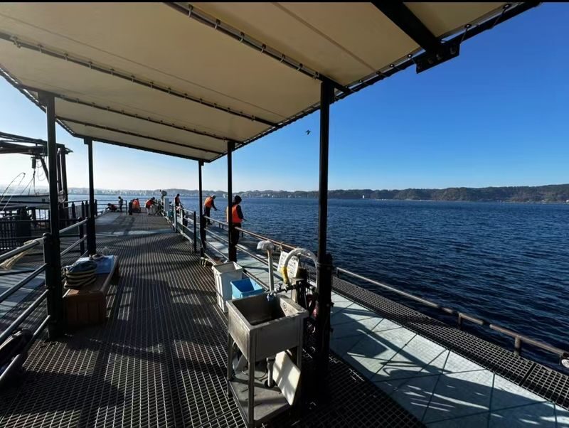 Kagoshima Shinko/Ibusuki Yamakawa Port/Kirishima Hayato Port Shared Fishing Trip: Kagoshima Shared Fishing Experience (Guaranteed Departure for 1 Person, Hotel Transfer, Free Fishing Gear, Fish Handling, Multiple Ports to Choose From) - Should you book it?