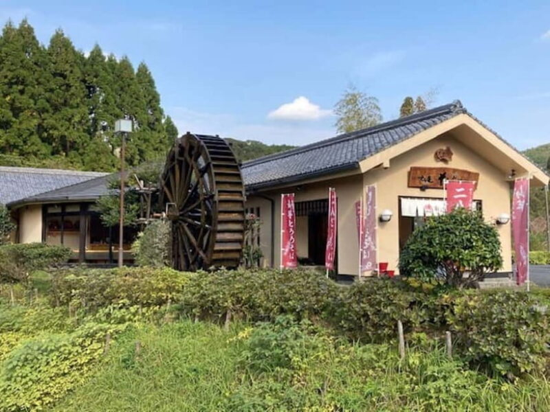 Kagoshima: Soba Noodle Making with Local Ingredients - The Sum Up