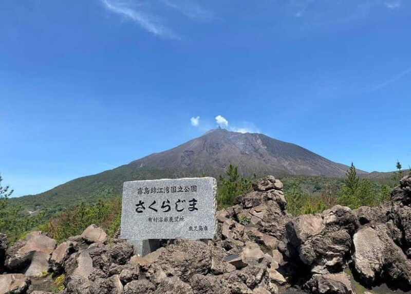 Kagoshima: Volcano, Coast & Hot Springs Guided Tour - Good To Know