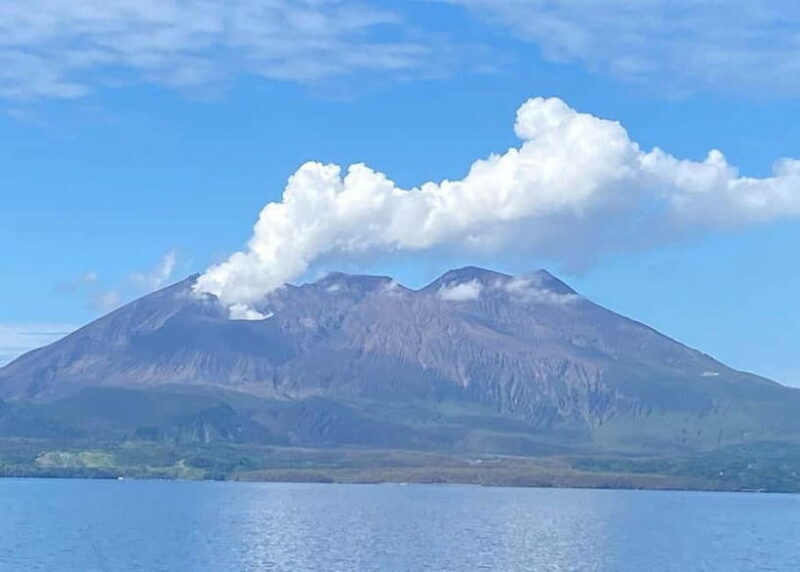 Kagoshima: Volcano, Coast & Hot Springs Guided Tour - The Rejuvenating Ibusuki Sand Baths