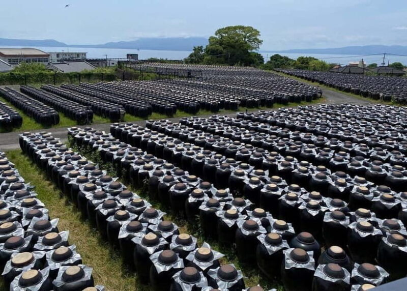Kagoshima: Volcano & Nature Immersion Private Guided Tour - Good To Know