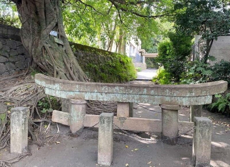 Kagoshima: Volcano & Nature Immersion Private Guided Tour - Optional Add-Ons and Extra Experiences