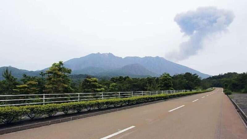 Kagoshima: Volcanos Embrace  Sakurajima View Experience - An In-Depth Look at the Tour