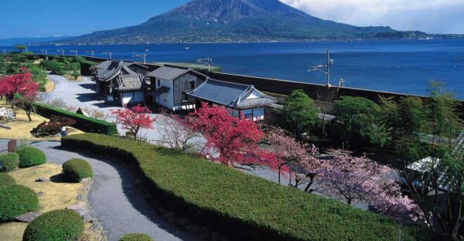 Kagosima-City Sihgtseeing Spot Tour - Inclusions and Services