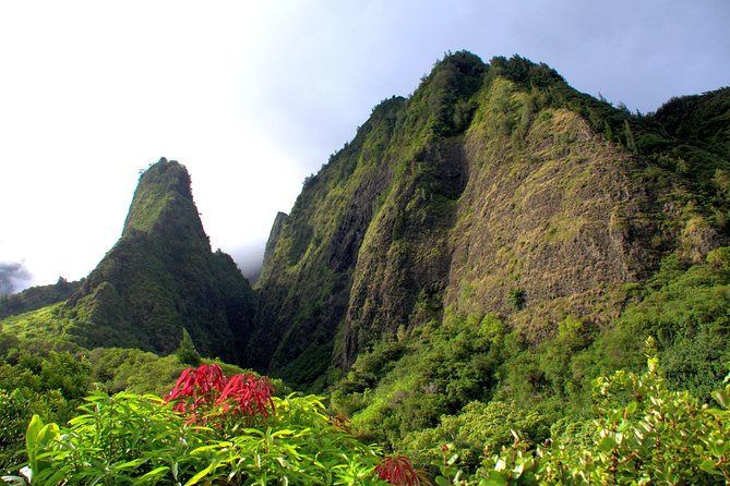 Kahului Shore Excursion: Private Tropics of Maui & Rainforest - Tour Highlights