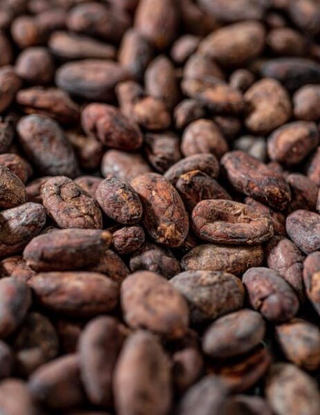 KAIACAO Bean to Bar Chocolate Factory Tour and Tasting - Bean-to-Bar Process