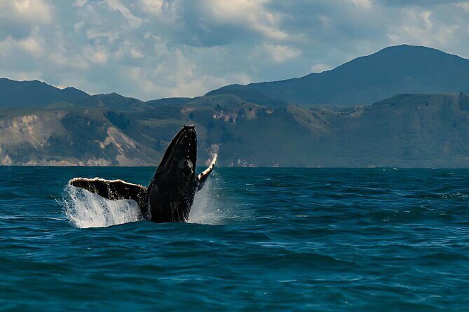 Kaikoura Day Tour From Christchurch - Good To Know