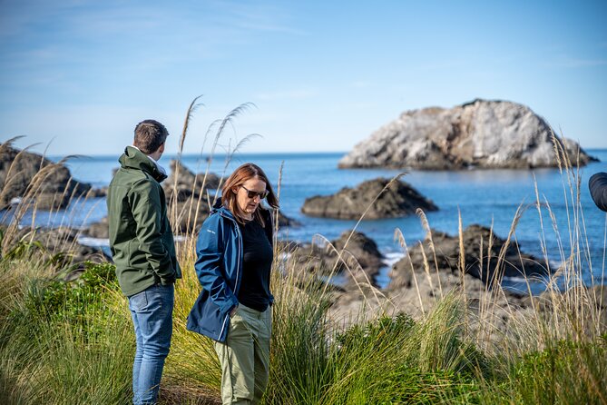 Kaikoura Day Tour With Dolphin Encounter From Christchurch - Dolphin Encounter Experience