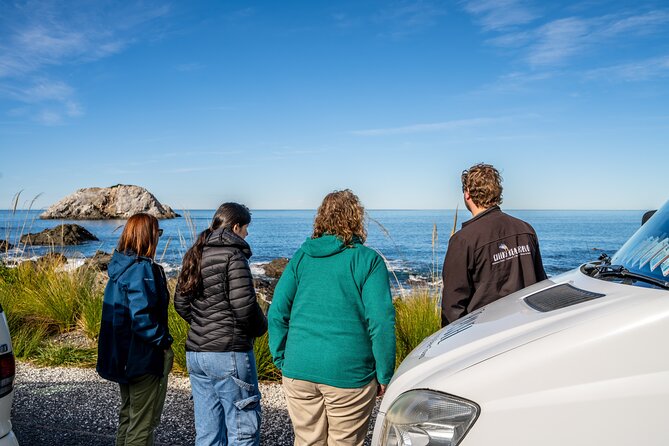 Kaikoura Day Tour With Dolphin Encounter From Christchurch - Gourmet Lunch Included