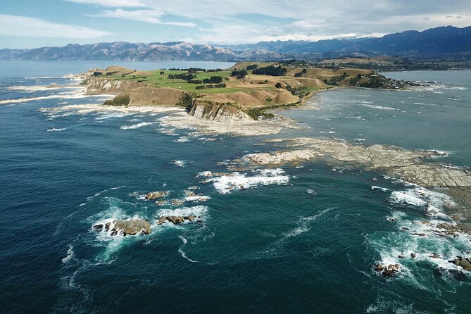 Kaikoura Day Tour With Dolphin Encounter From Christchurch - Booking and Itinerary Details