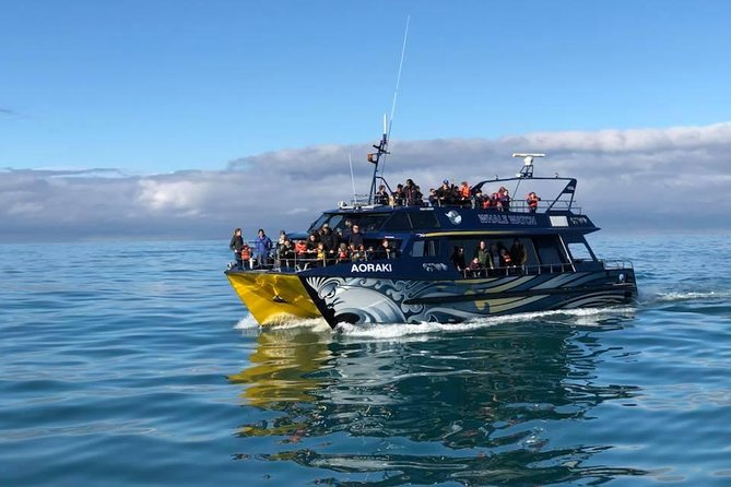 Kaikoura Day Tour With Whale Watching - Cancellation Policy