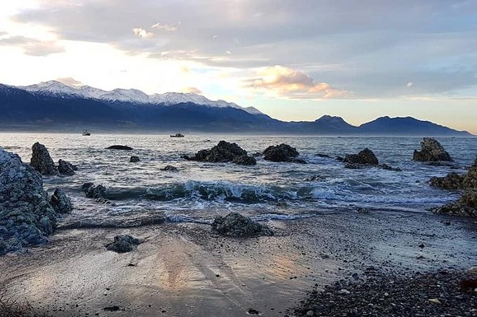 Kaikoura Day Tour With Whale Watching - Traveler Photos