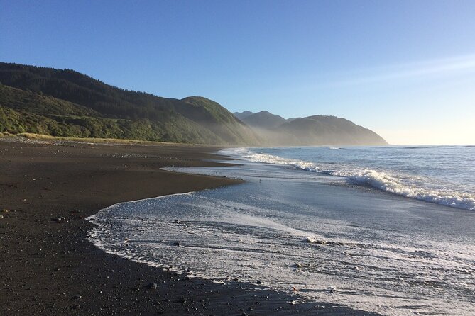 Kaikoura Day Trip From Christchurch (Small Group & Carbon Neutral) - Additional Information