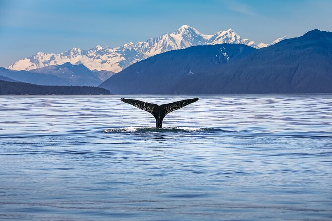 Kaikoura Day Trip From Christchurch (Small Group & Carbon Neutral) - Common Questions