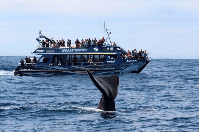 Kaikoura Day Trip including Whale Watch from Christchurch - Good To Know