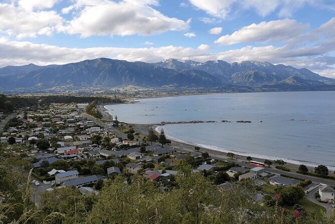 Kaikoura Day Trip including Whale Watch from Christchurch - An In-Depth Look at the Kaikoura Day Trip