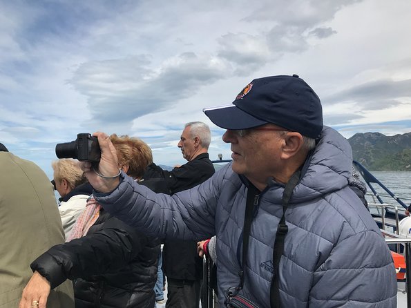 Kaikoura Day Trip - Whales Encounter - Pricing and Booking Information