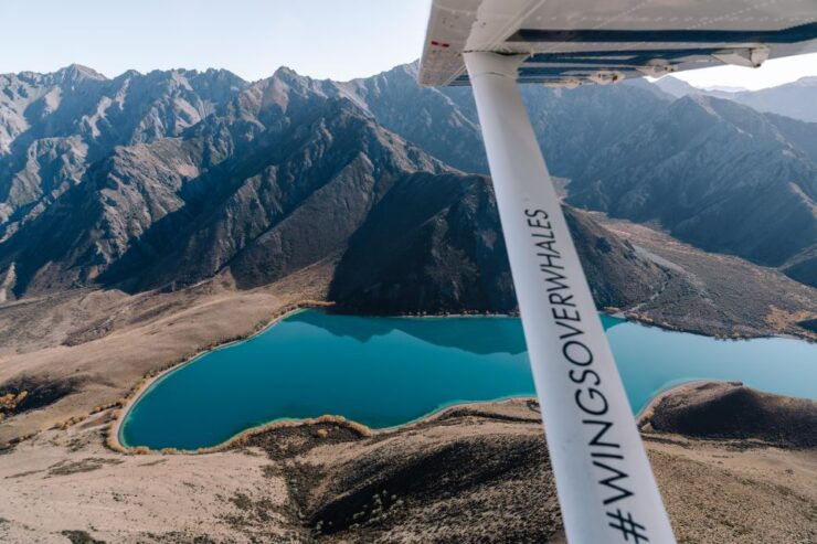 Kaikoura: Extended Flight Whale Watching & Mountain Tour - Activity Duration and Highlights