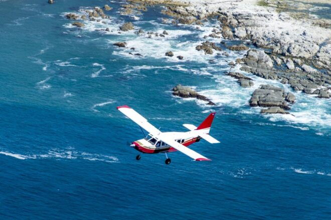Kaikoura: Extended Whale Watching Flight - Other Recommended Activities