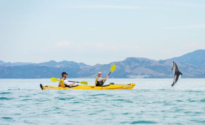 Kaikoura: Half-Day Wildlife Kayaking Tour - Additional Information