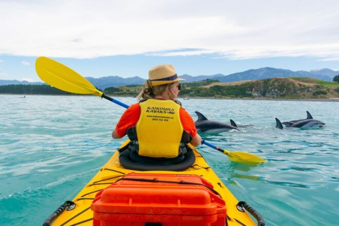 Kaikoura: Half-Day Wildlife Kayaking Tour - Customer Reviews