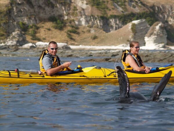 Kaikoura: Half-Day Wildlife Kayaking Tour - Directions