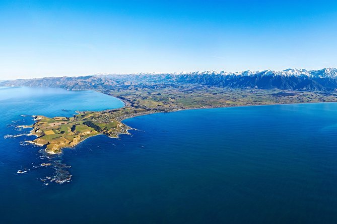 Kaikoura Helicopters Classic Whale Watch - Meeting and Pickup