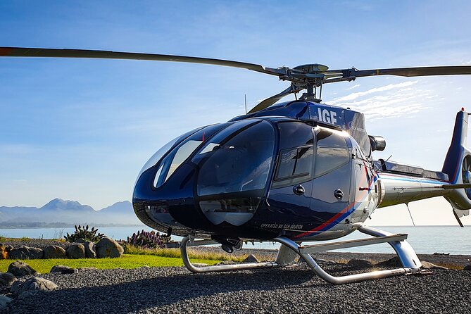 Kaikoura Helicopters Extended Whale Watch Flight - Whales Feeding Further Offshore