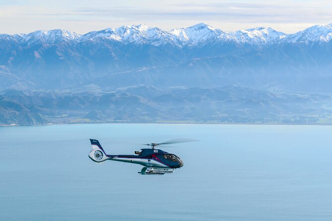 Kaikoura Helicopters Extended Whale Watch Flight - Meeting and Pickup Information