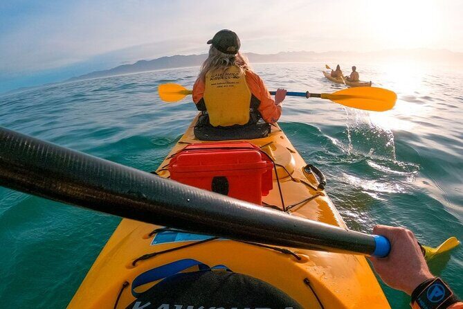 Kaikoura Kayaking Adventure Small Group Tour from Christchurch - Frequently Asked Questions