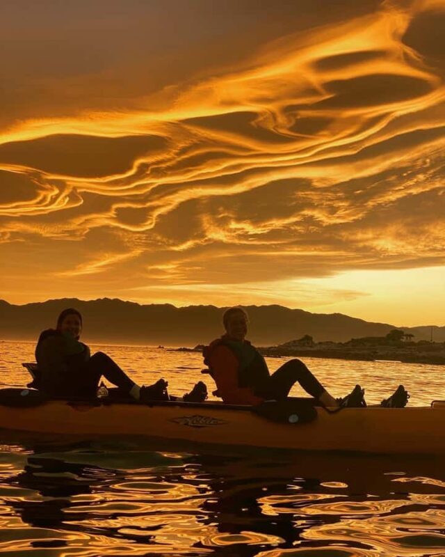 Kaikoura: Private Guided Kayak Tour with Seals - Final Thoughts