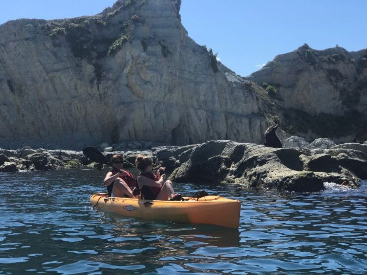 Kaikoura: Seal-Watching Pedal Kayak Tour - Tour Highlights
