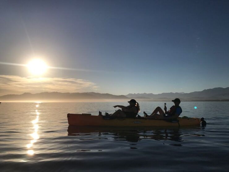 Kaikoura: Seal-Watching Pedal Kayak Tour - Kayaking Experience