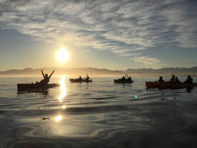 Kaikoura: Seal-Watching Pedal Kayak Tour - Safety Precautions