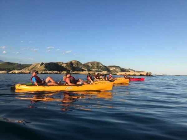 Kaikoura: Seal-Watching Pedal Kayak Tour - Recommended Gear