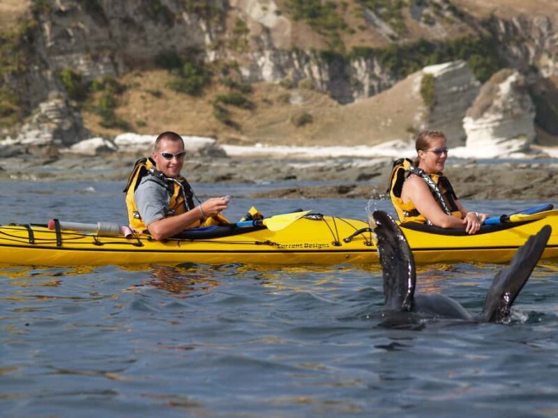 Kaikoura: Sunset Evening Kayaking Tour - Frequently Asked Questions