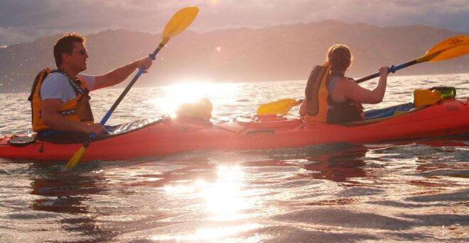 Kaikoura: Sunset Kayaking Tour - Wildlife Encounters