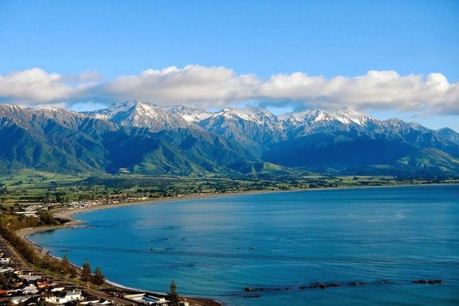 Kaikoura Swim With Dolphins Tour From Christchurch - Additional Information