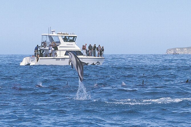 Kaikoura Whale and Dolphin Overnight Tour From Christchurch - Selecting Date and Travelers