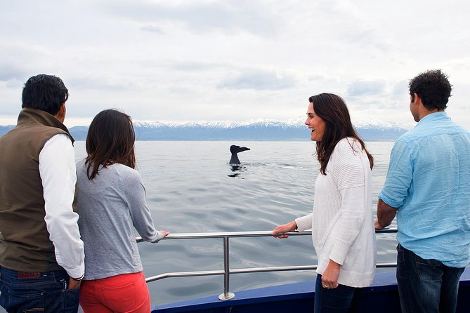 Kaikoura Whale Watch Day Tour From Christchurch - Tour Overview