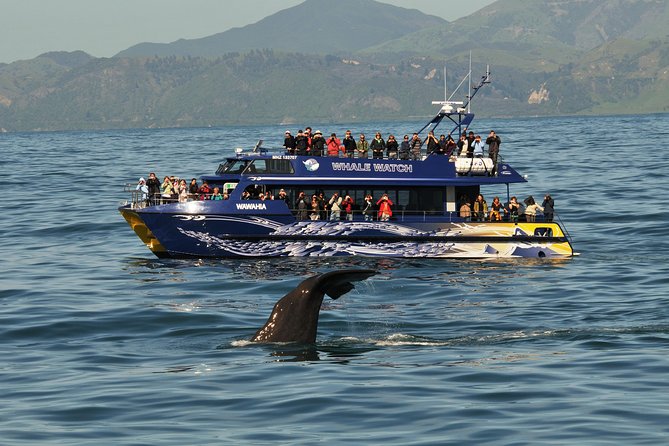 Kaikoura Whale Watch Day Tour From Christchurch - Customer Service and Complaints