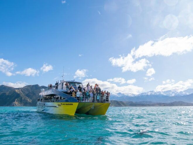 Kaikoura: Whale Watching Cruise - Inclusions