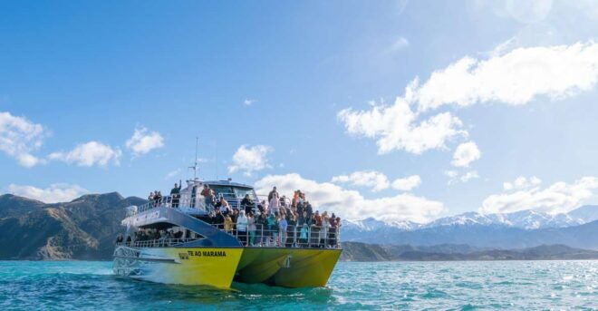 Kaikoura: Whale Watching Cruise - Customer Reviews