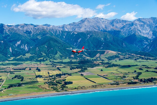 Kaikoura: Whale Watching Flight (Extended) - Meeting and Pickup Details
