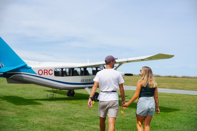 Kaikoura: Whale Watching Flight (Extended) - Common Questions
